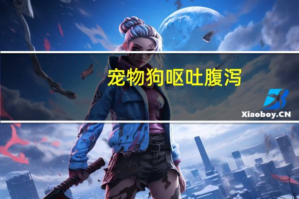 宠物狗呕吐腹泻