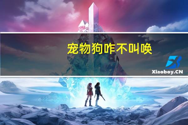 宠物狗咋不叫唤