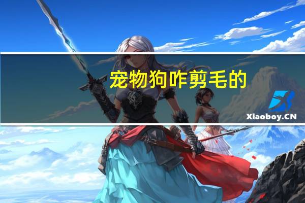 宠物狗咋剪毛的
