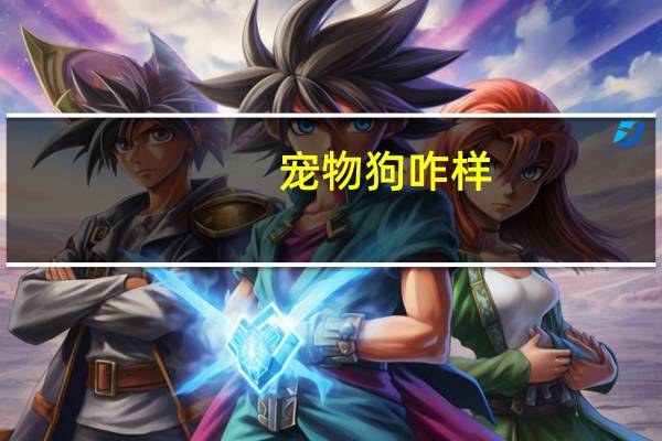 宠物狗咋样