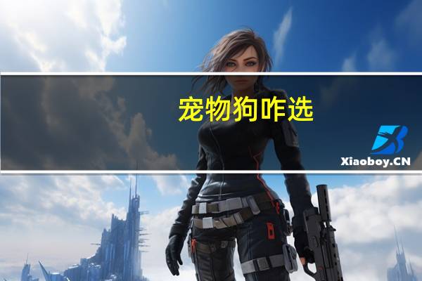 宠物狗咋选