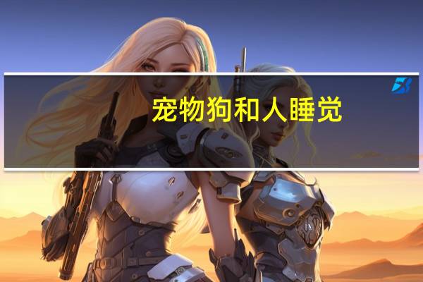 宠物狗和人睡觉
