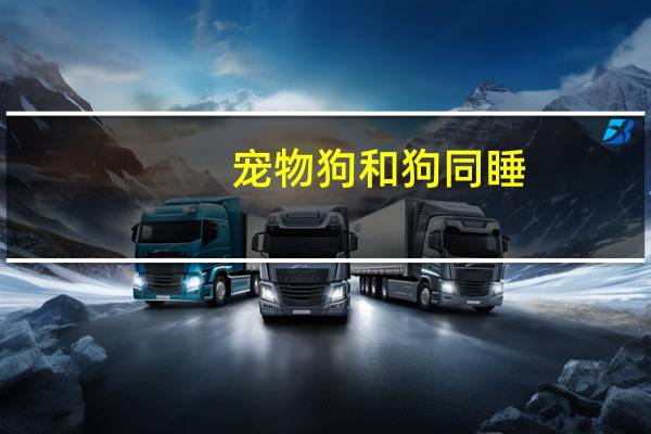 宠物狗和狗同睡