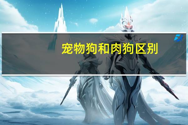 宠物狗和肉狗区别