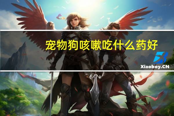 宠物狗咳嗽吃什么药好