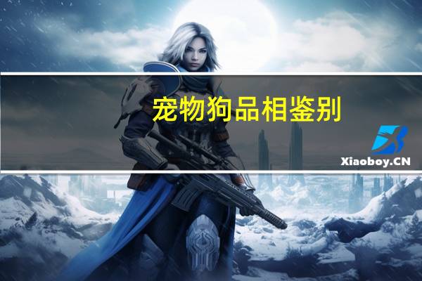 宠物狗品相鉴别