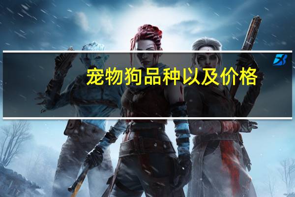 宠物狗品种以及价格