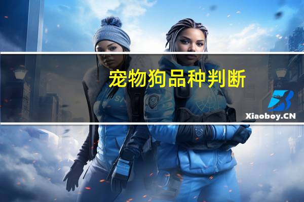 宠物狗品种判断