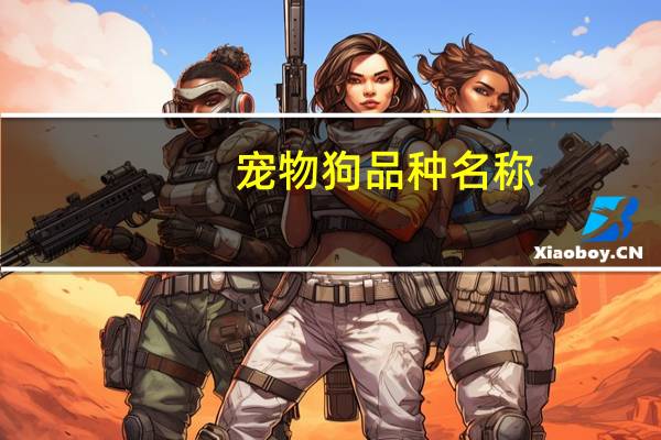 宠物狗品种名称