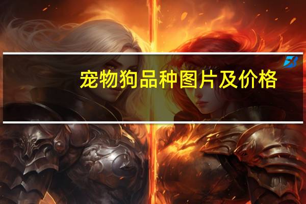 宠物狗品种图片及价格