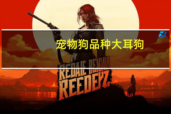 宠物狗品种大耳狗