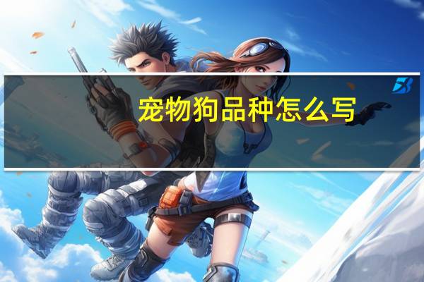 宠物狗品种怎么写