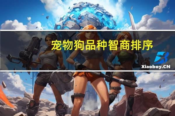 宠物狗品种智商排序
