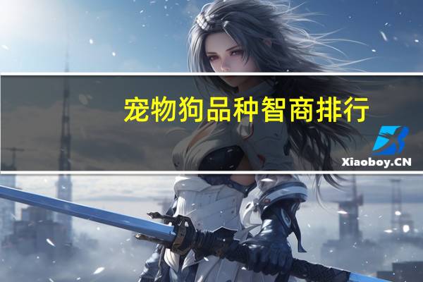 宠物狗品种智商排行