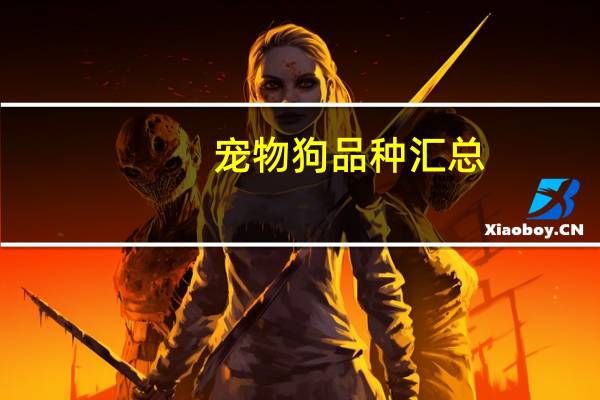 宠物狗品种汇总
