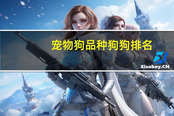 宠物狗品种狗狗排名