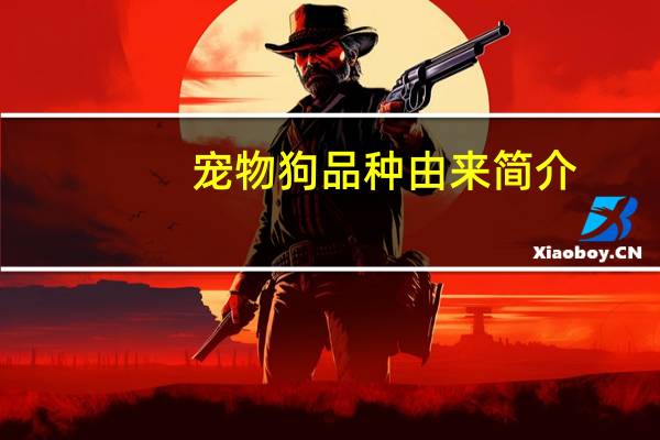 宠物狗品种由来简介