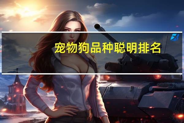 宠物狗品种聪明排名