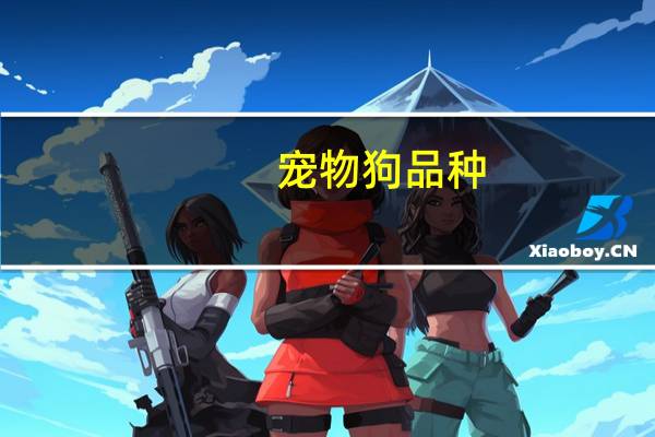 宠物狗品种