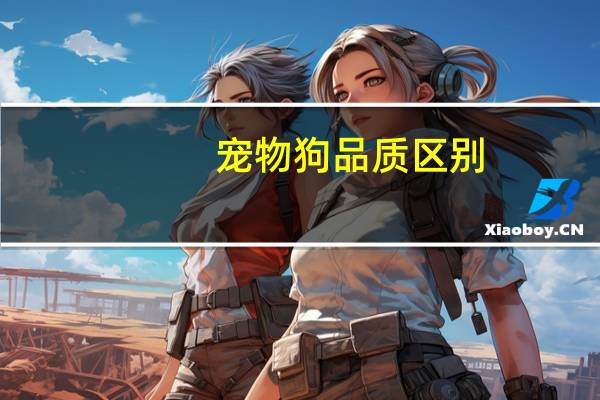 宠物狗品质区别