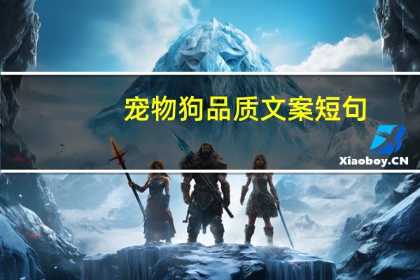 宠物狗品质文案短句