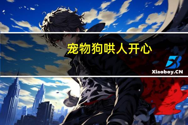 宠物狗哄人开心
