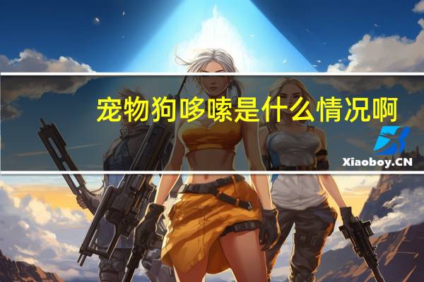 宠物狗哆嗦是什么情况啊