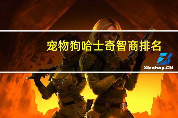 宠物狗哈士奇智商排名