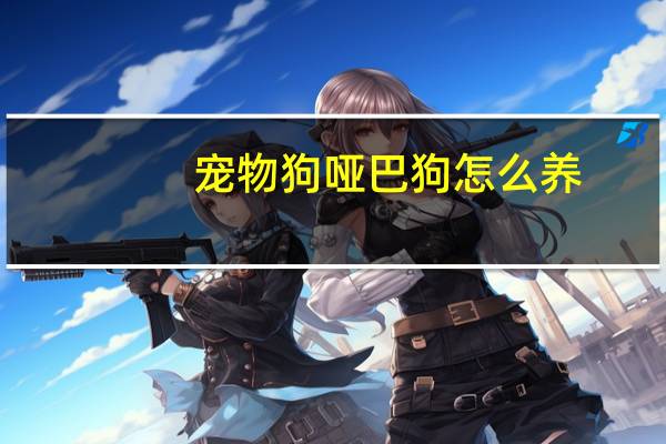 宠物狗哑巴狗怎么养