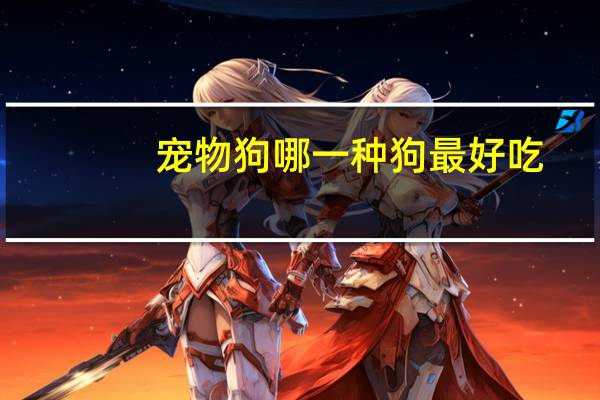 宠物狗哪一种狗最好吃