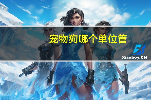 宠物狗哪个单位管