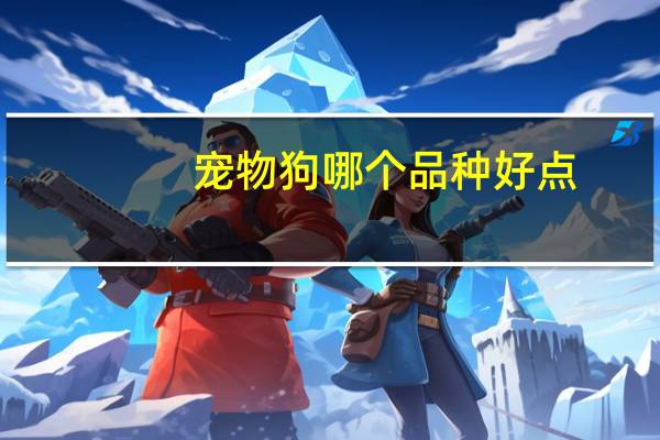 宠物狗哪个品种好点