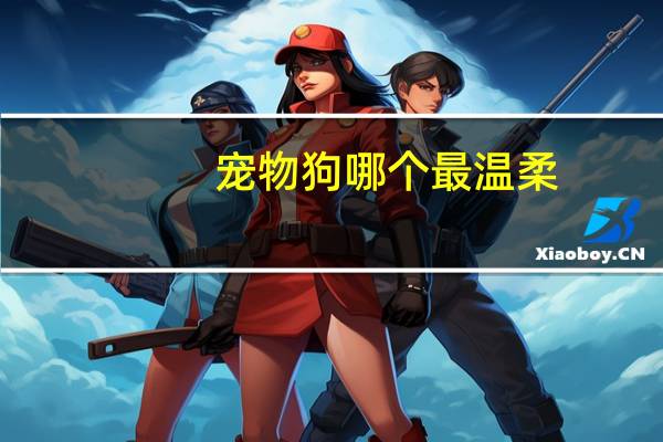 宠物狗哪个最温柔
