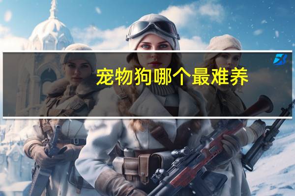 宠物狗哪个最难养