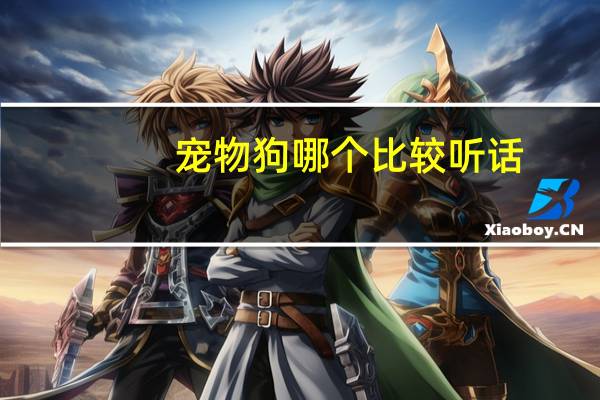 宠物狗哪个比较听话