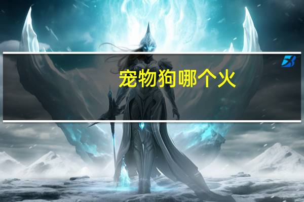 宠物狗哪个火