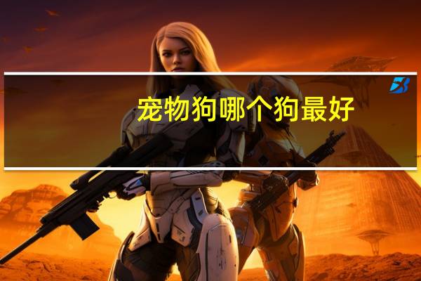 宠物狗哪个狗最好
