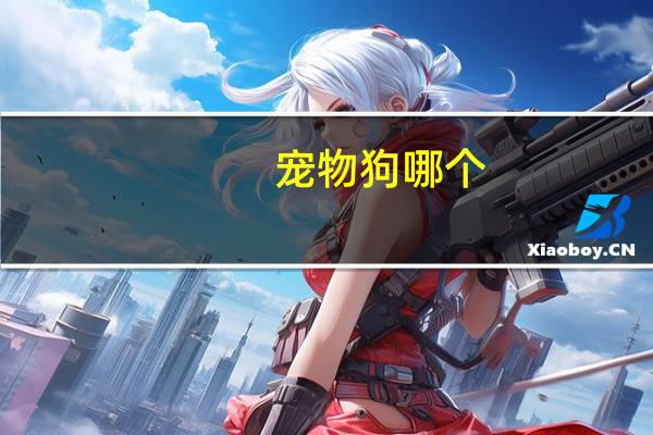 宠物狗哪个