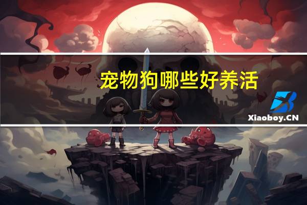 宠物狗哪些好养活