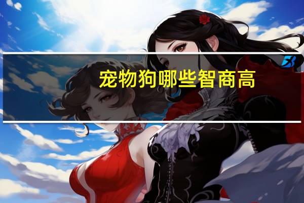 宠物狗哪些智商高