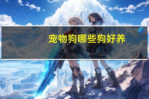 宠物狗哪些狗好养