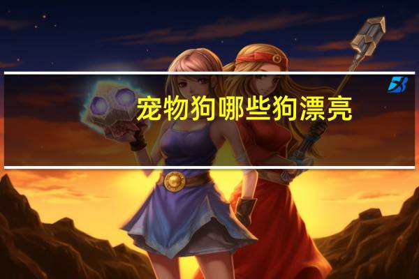 宠物狗哪些狗漂亮