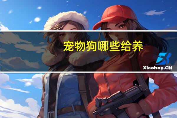 宠物狗哪些给养