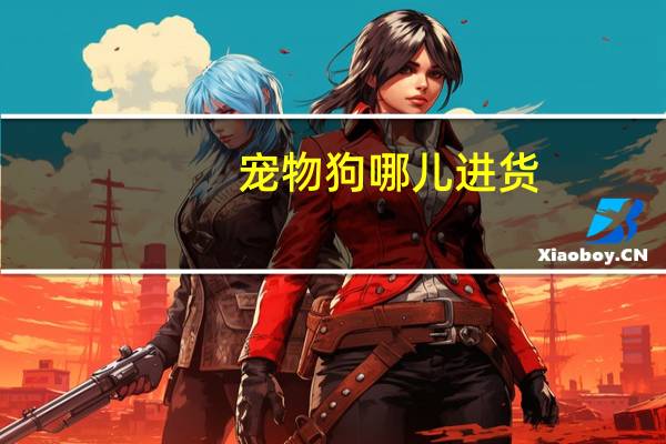 宠物狗哪儿进货