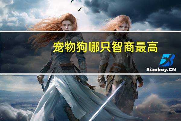 宠物狗哪只智商最高