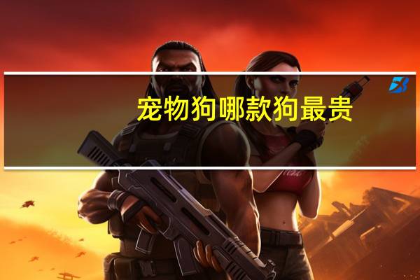 宠物狗哪款狗最贵