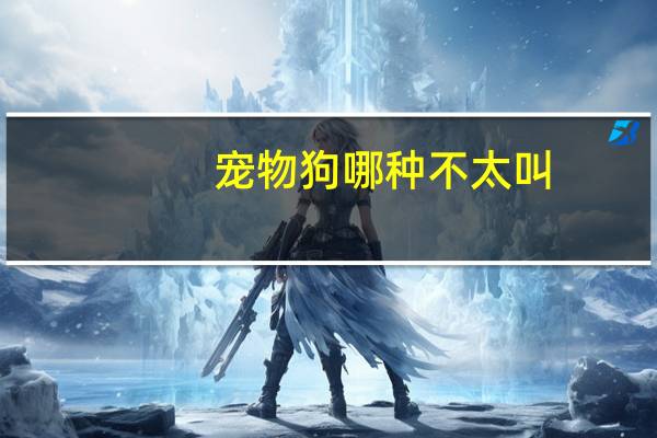 宠物狗哪种不太叫