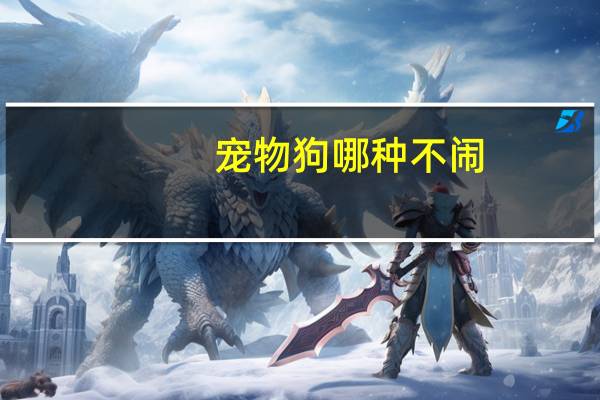 宠物狗哪种不闹