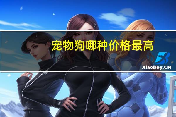 宠物狗哪种价格最高