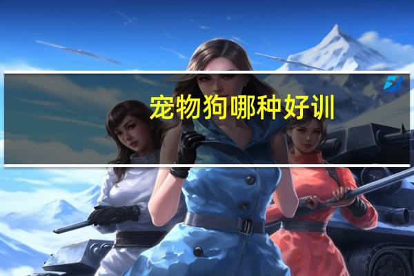 宠物狗哪种好训